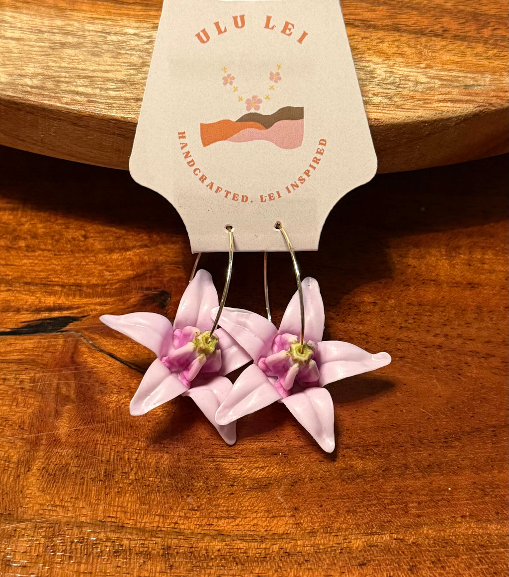 Earrings - Home Market (Assorted)